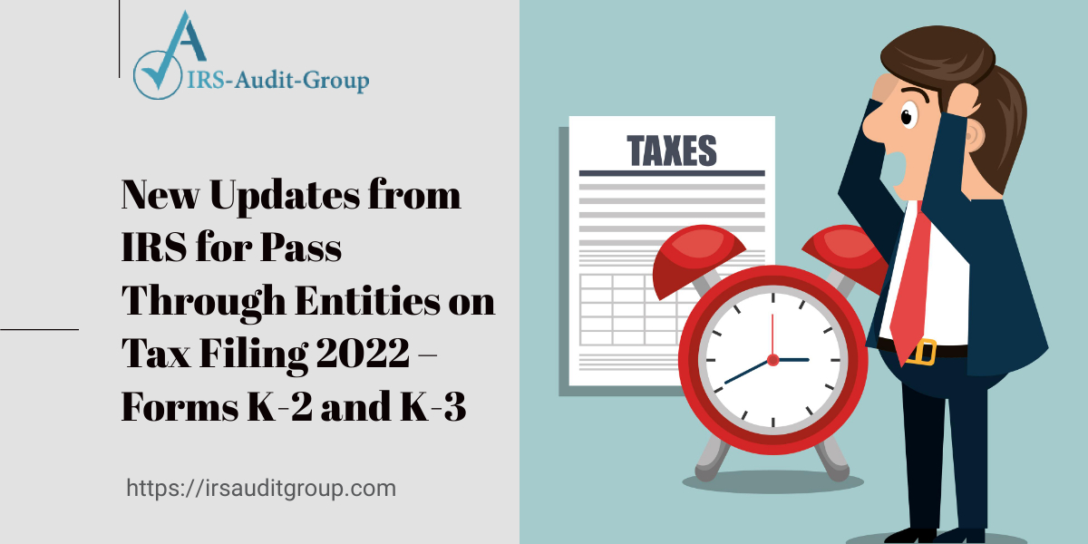 Pass Through Entities on Tax Filing 2022