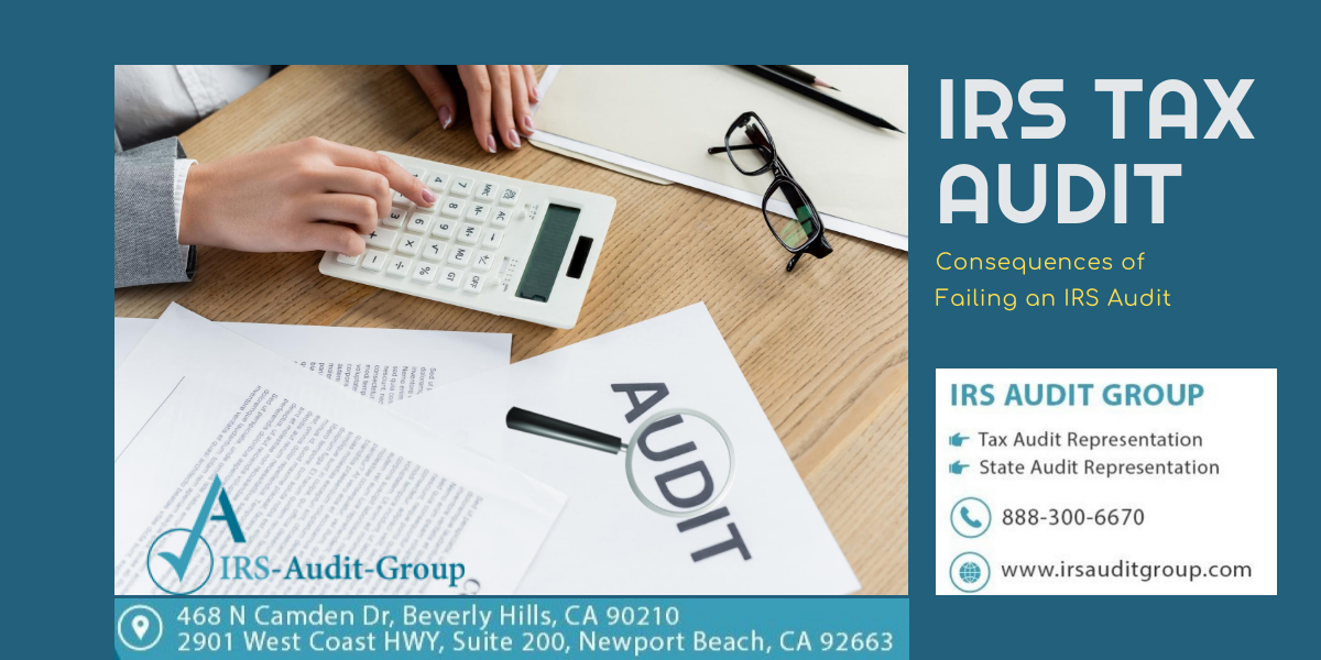 Failing-IRS-Audit blog